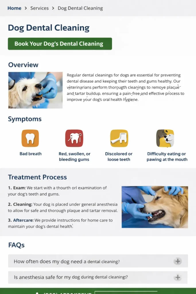 Service page example for an animal hospital website showing overview, symptoms, treatment process, FAQs, and sticky booking button